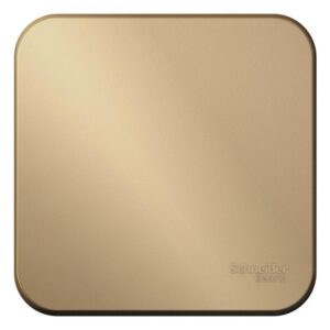 Выключатель 1-кл. ОП Blanca 10А IP20 (сх. 1) 250В с изолир. пластиной титан SE BLNVA101014 оптом купить цена