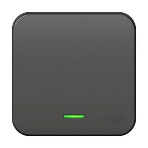 Выключатель 1-кл. ОП Blanca 10А IP20 (сх. 1) 250В с подсветкой с изолир. пластиной антрацит SE BLNVA101116 оптом купить цена