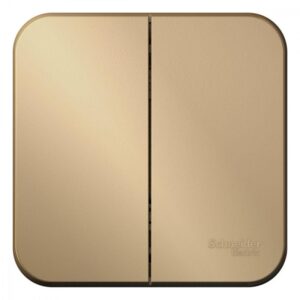 Выключатель 2-кл. ОП Blanca 10А IP20 (сх. 5) 250В с изолир. пластиной титан SE BLNVA105014 оптом купить цена