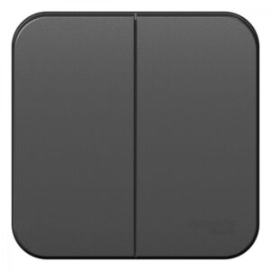 Выключатель 2-кл. ОП Blanca 10А IP20 (сх. 5) 250В с изолир. пластиной антрацит SE BLNVA105016 оптом купить цена