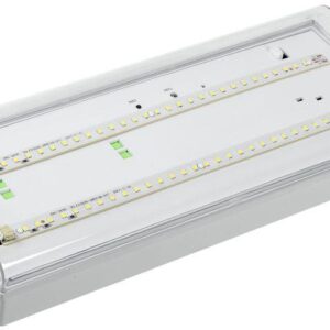 Светильник светодиодный ДПА 5042-3 IP65 3ч аварийный аккум. универс. подкл. IEK LDPA0-5042-3-65-K01 оптом купить цена