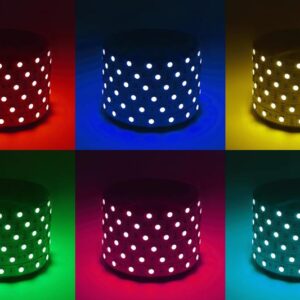 Светодиодная лента ЭРА LS5050 -14