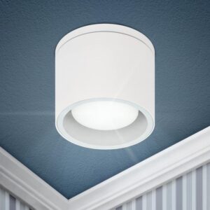 Светильник настенно-потолочный спот ЭРА WL40 WH GX53