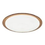 Светильник потолочный светодиодный ЭРА Классик с ДУ SPB-6-70-RC Saturn 70Вт 3000-6500К 5950Лм коричневый кант купить оптом недорого