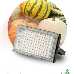 Фитопрожектор для растений светодиодный ЭРА FITO-80W-Ra90-LED-Y полного спектра купить оптом недорого