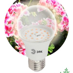 Фитолампа для растений светодиодная ЭРА FITO-11W-Ra90-E27 полного спектра 11 Вт Е27 купить оптом недорого