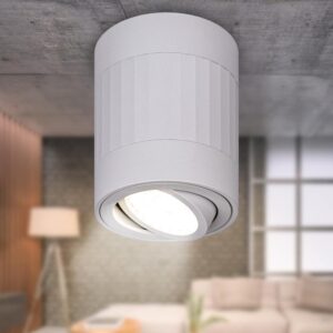Светильник настенно-потолочный спот ЭРА OL34 WH MR16 GU10