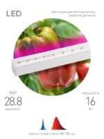 фитолампа светодиодная линейная ЭРА FITO-16W-Т5-N красно-синего спектра 16 Вт Т5 купить оптом недорого