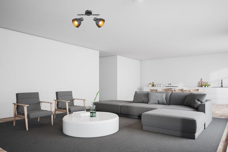 White kitchen and living room interior