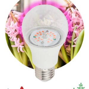 Фитолампа для растений светодиодная ЭРА FITO-10W-RB-E27-K красно-синего спектра 10 Вт Е27 купить оптом недорого