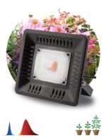 Фитопрожектор для растений светодиодный ЭРА FITO-50W-LED-BLUERED для цветения и плодоношения 50Вт красно-синего спектра купить оптом недорого