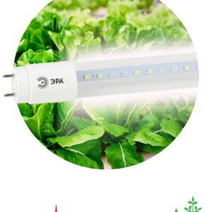 Фитолампа для растений светодиодная ЭРА FITO-18W-Ra90-Т8-G13-NL полного спектра 18 Вт Т8 G13 купить оптом недорого