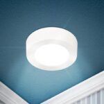 Светильник светодиодный ЭРА LED 19-24-6K накладной круглый 24Вт 6500К купить оптом недорого