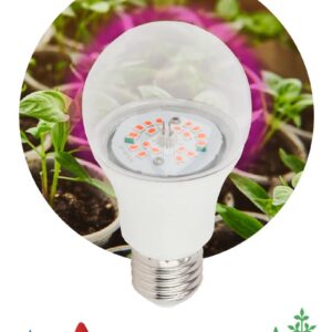 Фитолампа для растений светодиодная ЭРА FITO-12W-RB-E27-K красно-синего спектра 12 Вт Е27 купить оптом недорого