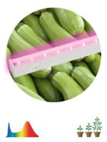 Светильник для растений