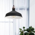 Светильник подвесной (подвес) ЭРА PL2 BK/RC металл