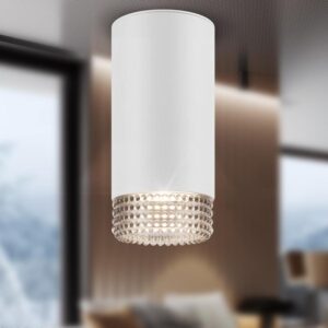 Светильник настенно-потолочный спот ЭРА OL40 WH/GR MR16 GU10 IP20 белый