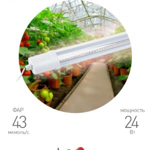 фитолампа светодиодная линейная ЭРА FITO-24W-Ra90-N полного спектра 24 Вт купить оптом недорого