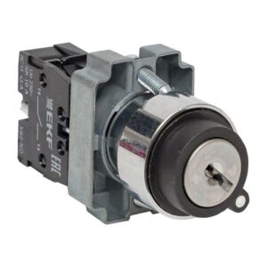 Переключатель BG21 2P с замком (не возврат.) NO EKF xb2-bg21 оптом купить цена