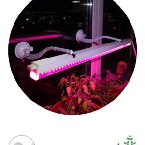 Кронштейн для фитоламп и фитосветильников ЭРА ЭРА FITO-Hanger 2Х комплект кронштейнов на присоске