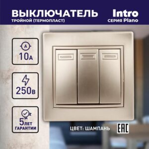 10А-250В