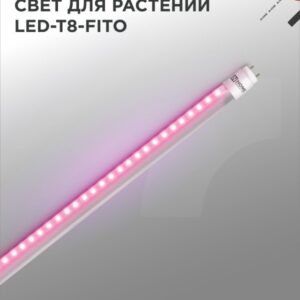 Лампа светодиодная LED-T8-FITO 20Вт 230В G13 1200мм IN HOME купить оптом недорого
