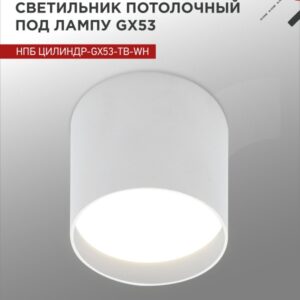 Светильник потолочный НПБ ЦИЛИНДР-GX53-TB-WH под лампу GX53 90х90мм белый IN HOME купить оптом недорого