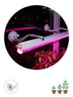 Кронштейн для фитоламп и фитосветильников ЭРА FITO-Hanger на присоске купить оптом недорого