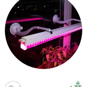 Кронштейн для фитоламп и фитосветильников ЭРА FITO-Hanger на присоске купить оптом недорого