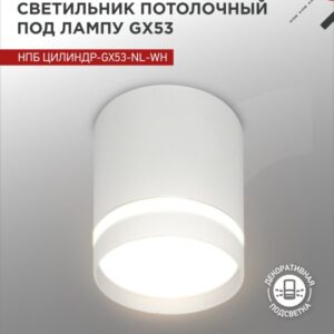 Светильник потолочный НПБ ЦИЛИНДР-GX53-NL-WH под лампу GX53 82х80мм белый IN HOME купить оптом недорого