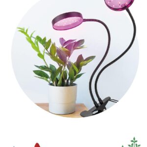 Светильник для растений на прищепке ЭРА FITO-20W-АLED-R красно-синего спектра 20 Вт черный купить оптом недорого