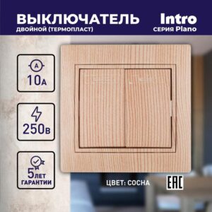 10А-250В