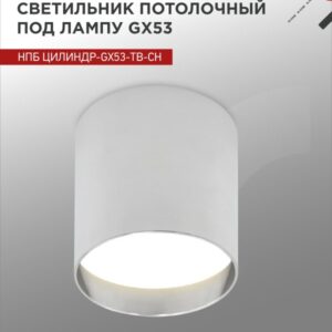 Светильник потолочный НПБ ЦИЛИНДР-GX53-TB-CH под лампу GX53 90х90мм хром IN HOME купить оптом недорого
