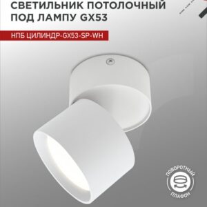 Светильник потолочный НПБ ЦИЛИНДР-GX53-SP-WH под лампу GX53 82х80мм белый IN HOME купить оптом недорого