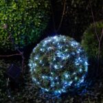 холодный свет 21