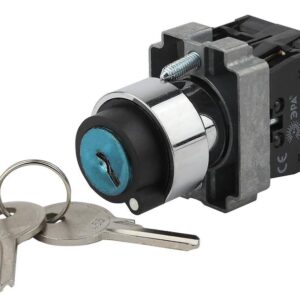 Переключатель ЭРА BSW80-BG-2-K02E LAY5-BG45 на 2 положения с ключом без фиксации купить оптом недорого