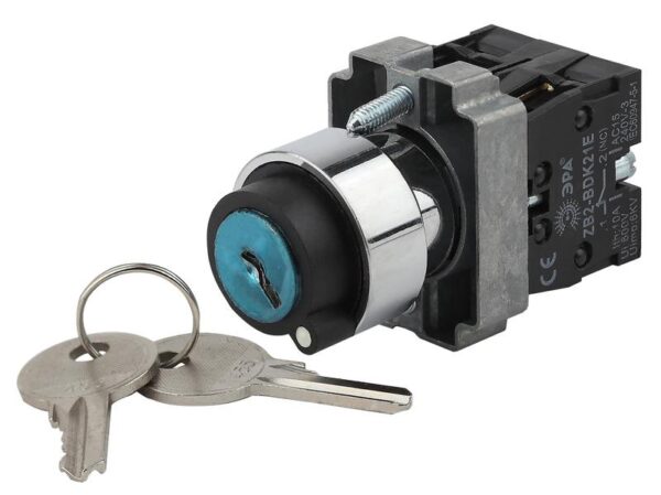 Переключатель ЭРА BSW80-BG-2-K02E LAY5-BG45 на 2 положения с ключом без фиксации купить оптом недорого
