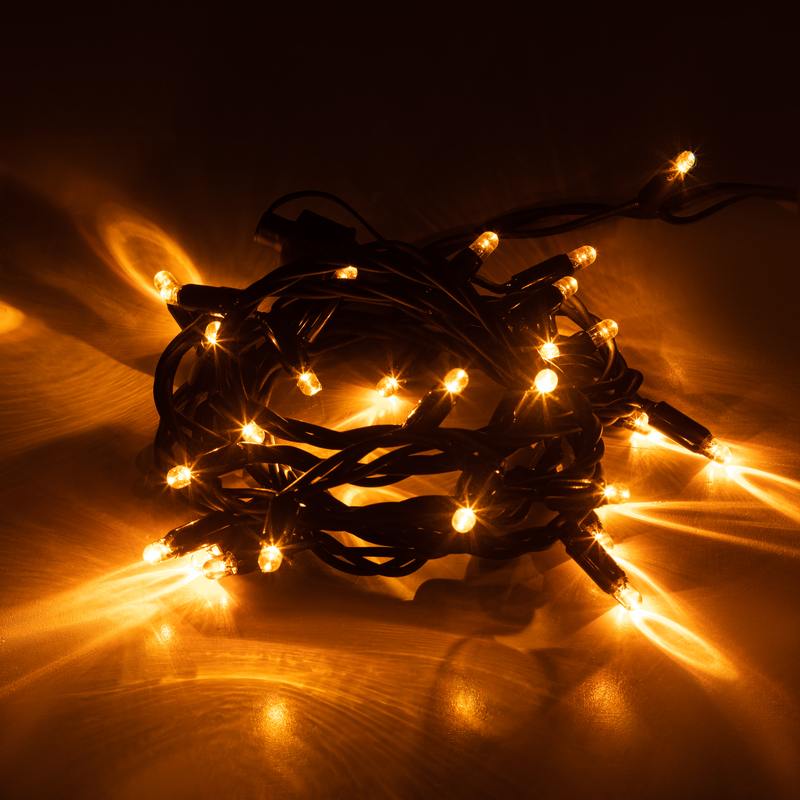 Гирлянда ЭРА ERAPS-NZ1 светодиодная новогодняя уличная нить 3 м желтая 30LED оптом купить хорошая цена Гирлянда ЭРА ERAPS-NZ1 светодиодная новогодняя уличная нить 3 м желтая 30LED купить оптом недорого