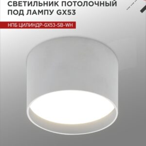 Светильник потолочный НПБ ЦИЛИНДР-GX53-SB-WH под лампу GX53 85x55мм белый IN HOME купить оптом недорого