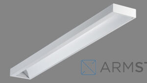 ASM/S c T5 Светильники с асимметричным отражателем и лампой Т5 купить оптом недорого