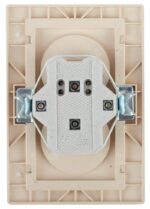 сосна купить оптом недорого