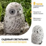 19 см купить оптом недорого