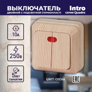 10А-250В