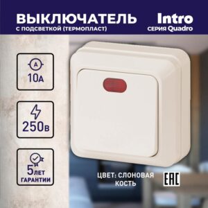 10А-250В