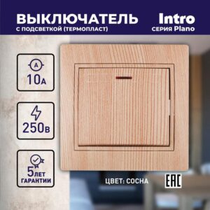 10А-250В