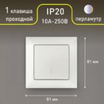 перламутр купить оптом недорого