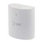 Датчик температуры и влажности воздуха ЭРА DM-03 для дома