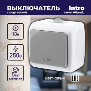10А-250В
