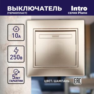 10А-250В