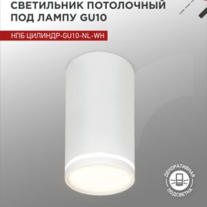 Светильник потолочный НПБ ЦИЛИНДР-GU10-NL-WH под лампу GU10 55х100мм белый IN HOME купить оптом недорого